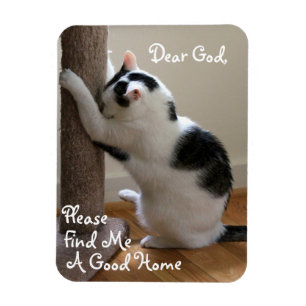 Magnet Flexible La prière du chat sans abri - aimant