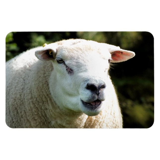 MAGNET FLEXIBLE LA RAM (Horizontal)