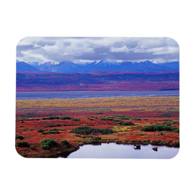 Magnet Flexible La toundra du parc national de Denali à la fin (Horizontal)