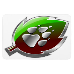 Magnet Flexible La voiture s'accrochent (grand : 4" x6")