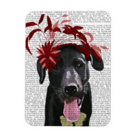 Labrador Noir Avec Fascinateur Rouge