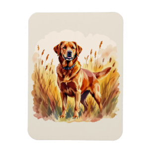 Magnet Flexible Labrador Retriever Fox Red