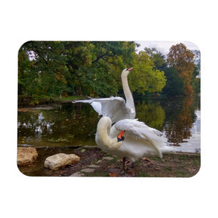 Magnet Flexible Lac de Swan