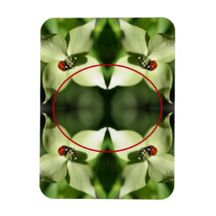 Magnet Flexible Ladybug On Dogwood Flower Frame Ajouter Votre Phot