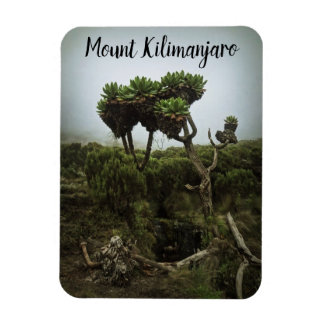Magnet Flexible L'aimant du Kilimandjaro