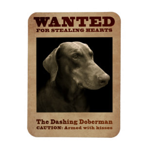 Magnet Flexible L'aimant se précipitant de dobermann