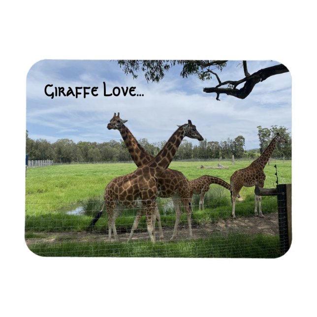 Magnet Flexible L'amour de la girafe...l'aimant (Horizontal)