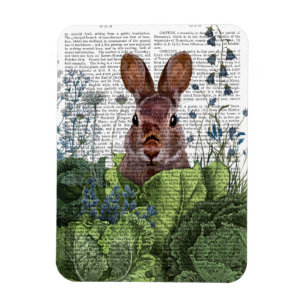 Magnet Flexible Lapin dans un patch de choux