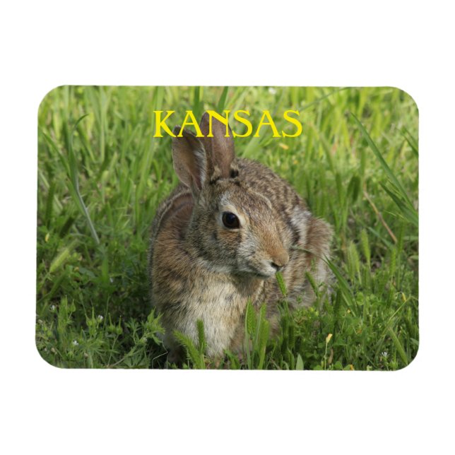 Magnet Flexible Lapin de Kansas Bunny (Horizontal)