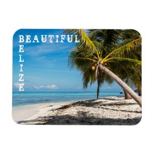 Magnet Flexible Laughing Bird Caye - Belize