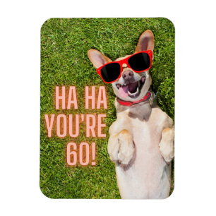 Magnet Flexible Laughing Dog 60th Birthday 