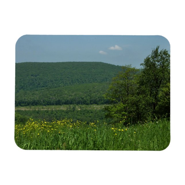 Magnet Flexible Laurel Highlands Pennsylvania Summer Photography (Horizontal)