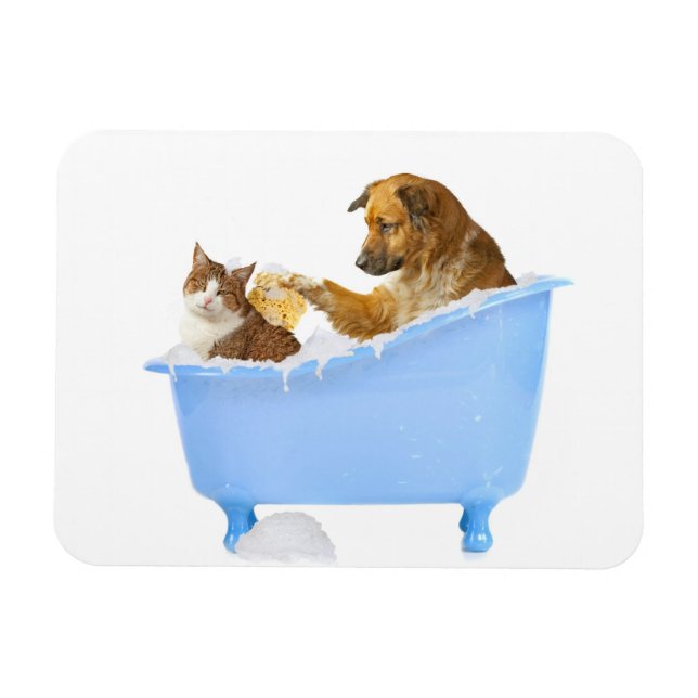 Magnet Flexible Lavage de chats (Horizontal)