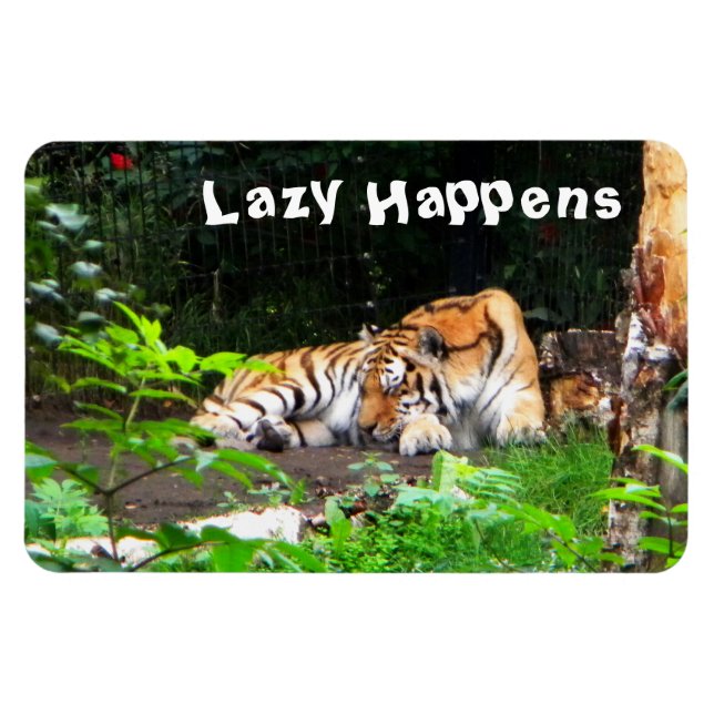 Magnet Flexible Lazy arrive le tigre de Sibérie (Horizontal)