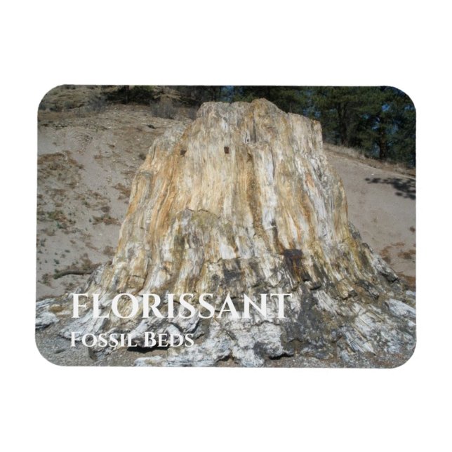 Magnet Flexible Le Big Stump, Florissant Fossil Lits (Horizontal)
