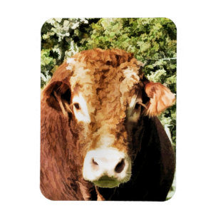 MAGNET FLEXIBLE LE BULL