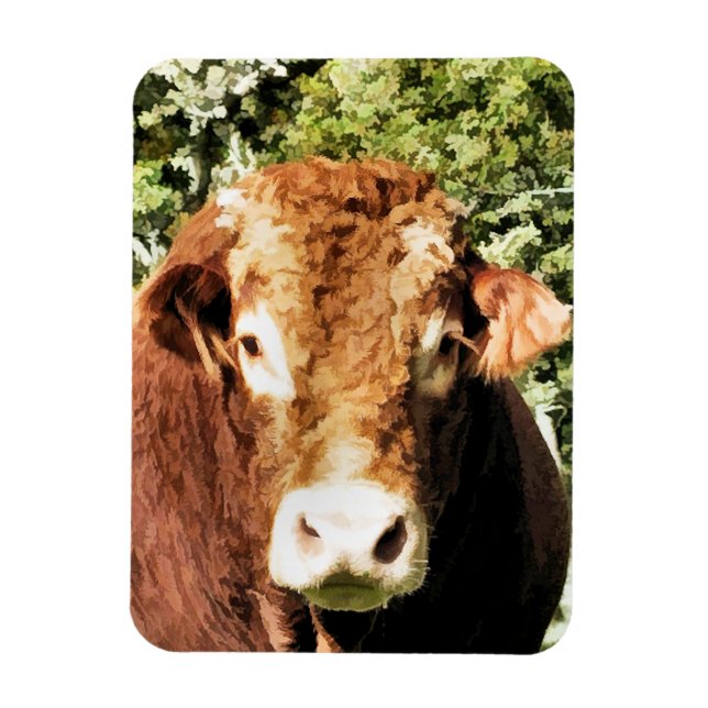MAGNET FLEXIBLE LE BULL (Vertical)