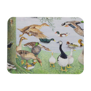 Magnet Flexible Le canard fou