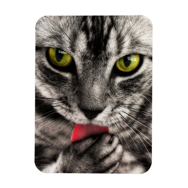 Magnet Flexible Le chat lèchent (Vertical)