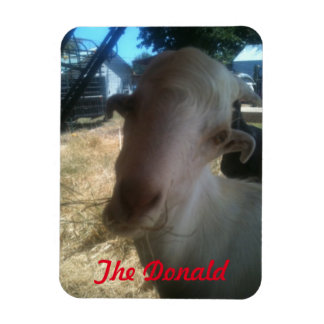 Magnet Flexible Le Donald