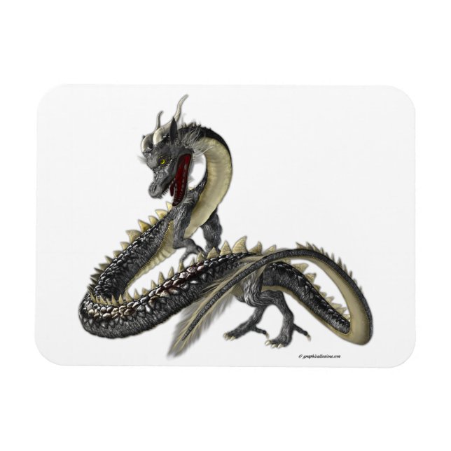 Magnet Flexible Le dragon d'argent (Horizontal)