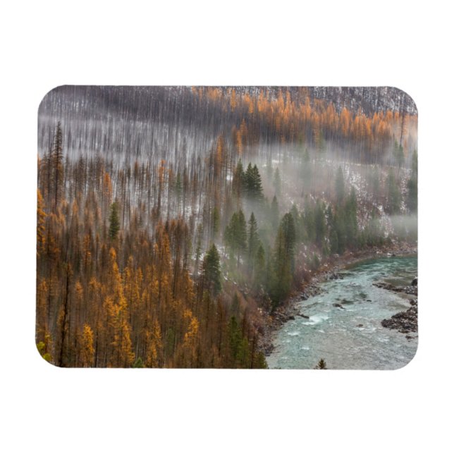 Magnet Flexible Le Fog Passe Sur Les Larches D'Automne (Horizontal)