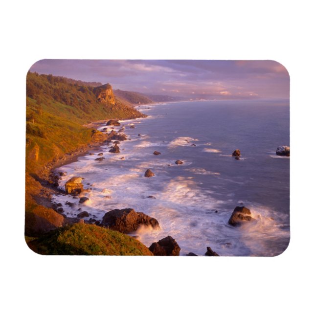 Magnet Flexible Le littoral des séquoias, Californie (Horizontal)