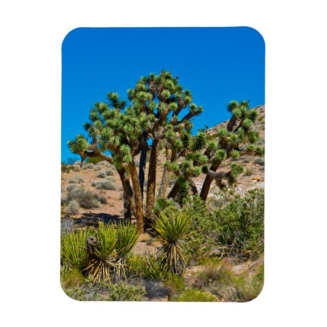 Magnet Flexible Le Monument national de Gold Butte (Vertical)