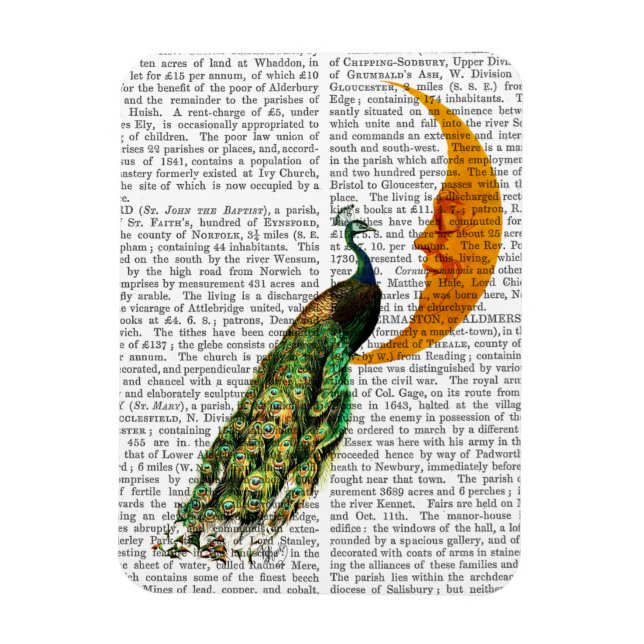 Magnet Flexible Le paon sur la Lune (Vertical)
