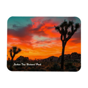 Magnet Flexible Le Parc national de Joshua Tree