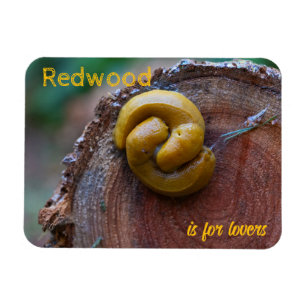 Magnet Flexible Le parc national de Redwood Banana Slug Pair