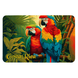 Magnet Flexible Le Perroquet du Costa Rica