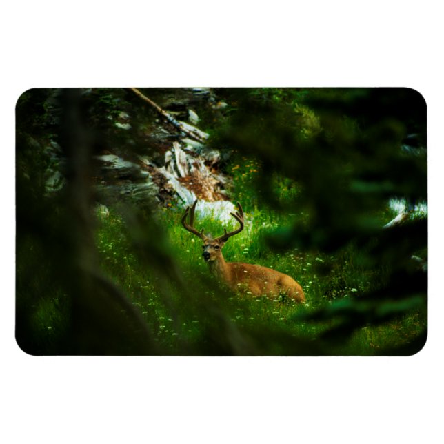 Magnet Flexible Le Prince Forêt (Horizontal)