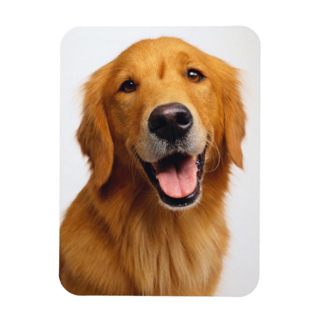 Magnet Flexible Le sourire d'or (Vertical)