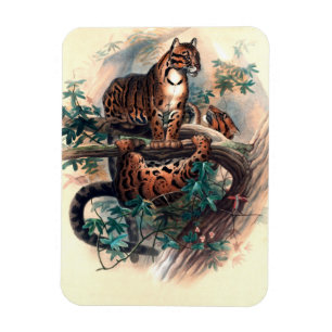 Magnet Flexible Le tigre nuageux par Joseph Wolf