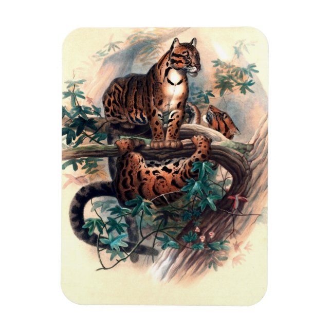 Magnet Flexible Le tigre nuageux par Joseph Wolf (Vertical)