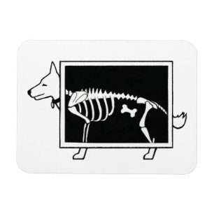 Magnet Flexible Le X-Ray du chien