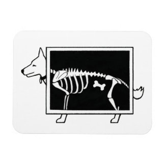 Magnet Flexible Le X-Ray du chien