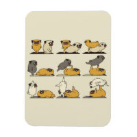 Le Yoga de Chien-Chien-Chien-Chien Français| Amate