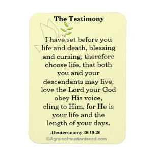 Magnet Flexible L'écriture sainte de témoignage