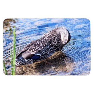 Magnet Flexible L'effet Grooming