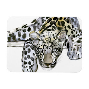 Magnet Flexible Léopard Arabe 2008 6