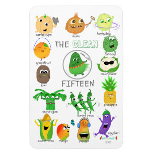 Magnet Flexible Les 15 propres ont illustré la liste - 2017