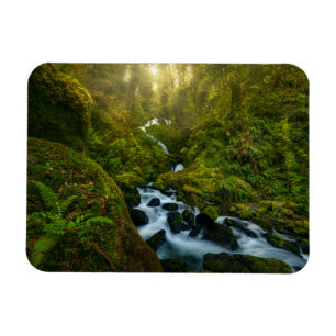 Magnet Flexible Les cascades   Parc National Olympique, Washington