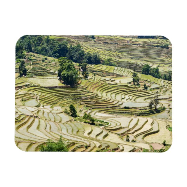 Magnet Flexible Les célèbres terrasses de riz yuanyang - Yunnan, C (Horizontal)