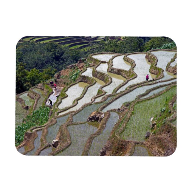 Magnet Flexible Les célèbres terrasses de riz yuanyang - Yunnan, C (Horizontal)