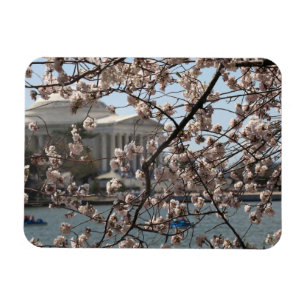 Magnet Flexible Les cerisiers en fleurs à Washington DC
