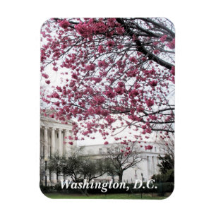 Magnet Flexible Les cerisiers fleurissent. Washington, D.C.