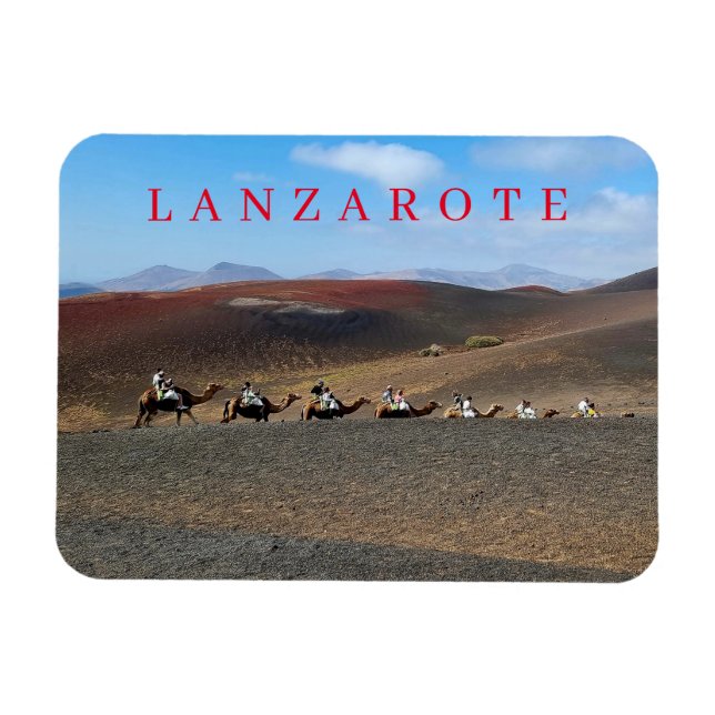 Magnet Flexible Les chameaux de Lanzarote regardent l'aimant frigo (Horizontal)