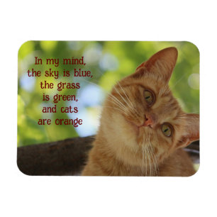 Magnet Flexible Les chats sont orange